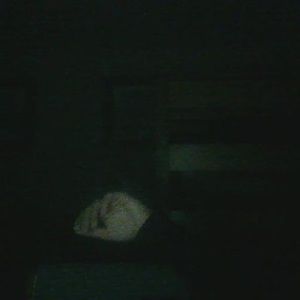 Meet your Posher, Christian